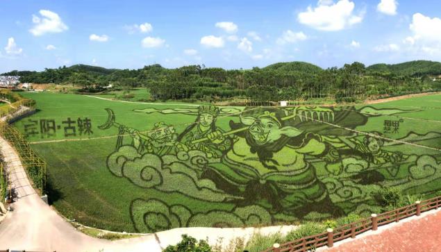 杭州创农人农业稻田画设计作品西游记作品